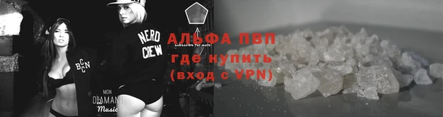 амф Алексин