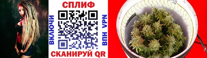 Шишки марихуана OG Kush  OMG онион  Неман 